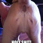 dog ass jesus | HOLY SHIT! | image tagged in dog ass jesus | made w/ Imgflip meme maker
