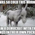 It was so cold.... | IT WAS SO COLD THIS MORNING I SAW A DEMOCRAT WITH THEIR HANDS IN THEIR OWN POCKETS | image tagged in cold ass,democrats,donkey,snow,ice,white | made w/ Imgflip meme maker