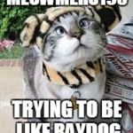 Raydog cat thing | MEOWMERS195 TRYING TO BE LIKE RAYDOG | image tagged in raydog cat thing | made w/ Imgflip meme maker