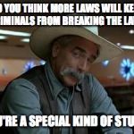 special kind of stupid | SO YOU THINK MORE LAWS WILL KEEP CRIMINALS FROM BREAKING THE LAW? YOU'RE A SPECIAL KIND OF STUPID | image tagged in special kind of stupid | made w/ Imgflip meme maker