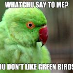 Whatchu Say To Me Bird | WHATCHU SAY TO ME? YOU DON'T LIKE GREEN BIRDS? | image tagged in whatchu say to me bird | made w/ Imgflip meme maker