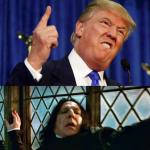 Donald Snape