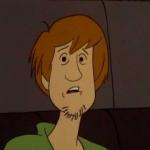 Shaggy