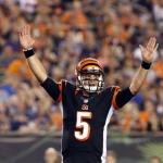 AJ McCarron