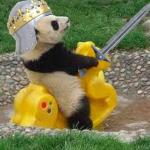 Panda Knight