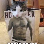 Muscle cat | COME AT ME | image tagged in muscle cat | made w/ Imgflip meme maker