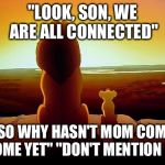 lionking | "LOOK, SON, WE ARE ALL CONNECTED" "SO WHY HASN'T MOM COME HOME YET" "DON'T MENTION IT" | image tagged in lionking | made w/ Imgflip meme maker