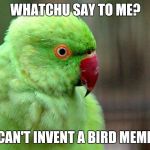 Whatchu Say To Me Bird | WHATCHU SAY TO ME? I CAN'T INVENT A BIRD MEME? | image tagged in whatchu say to me bird | made w/ Imgflip meme maker