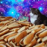 space cats and hot dogs meme