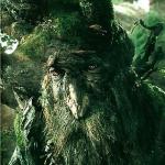 treebeard meme