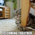 PlottingCat | MY EVIL PLAN IS COMING TOGETHER SPLENDIDLY | image tagged in plottingcat | made w/ Imgflip meme maker