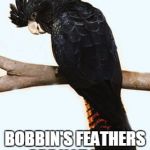 Bobbin | BOBBIN A GOOD BIRD BOBBIN'S FEATHERS ARE NOT PINK | image tagged in bobbin | made w/ Imgflip meme maker