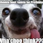 thilly puppy | I wath thinkin bout runnin for Prethident too... Wha'choo think??? | image tagged in thilly puppy | made w/ Imgflip meme maker