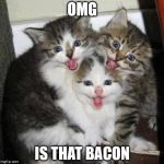 Happy kittens  | OMG IS THAT BACON | image tagged in happy kittens  | made w/ Imgflip meme maker