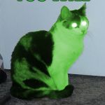 Hypno Raycat | YOU WILL UPVOTE MY COMMENTS | image tagged in hypno raycat | made w/ Imgflip meme maker