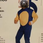 Sonic sloth | THEY SEE ME ROLLIN THEY HATIN | image tagged in sanic kid,sloth | made w/ Imgflip meme maker