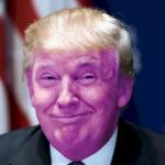Grape Trump