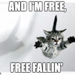 The "Tom Kitty" version of this song... | AND I'M FREE, FREE FALLIN' | image tagged in falling kitten,petty,song lyrics,song,youtube | made w/ Imgflip meme maker