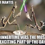 Once he became a Jedi, Mantis knew all the chicks would want his head. | FOR MANTIS DINNERTIME WAS THE MOST EXCITING PART OF THE DAY | image tagged in mantis with lightsabers,star wars,insects,funny animals,funny | made w/ Imgflip meme maker