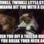 grumpy cat driving | TWINKLE, TWINKLE LITTLE STAR, I WANNA HIT YOU WITH A CAR PUSH YOU OFF A TREE SO HIGH, HOPE YOU BREAK YOUR NECK AND DIE | image tagged in grumpy cat driving | made w/ Imgflip meme maker