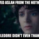 frodo | SAVED ASLAN FROM THE NOTHING DUMBLEDORE DIDN'T EVEN THANK HIM | image tagged in frodo | made w/ Imgflip meme maker
