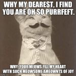 The Old Times Cat is such a romantic. | WHY MY DEAREST, I FIND YOU ARE OH SO PURRFEFT. WHY, YOUR MEOWS FILL MY HEART WITH SUCH MEOWSOME AMEOWNTS OF JOY | image tagged in old times cat,memes,cats | made w/ Imgflip meme maker