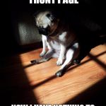 the most popular people on imgflip be like | I REACHED THE FRONT PAGE NOW I HAVE NOTHING TO LOOK FORWARD TO IN MY LIFE | image tagged in depressed pug,meme,front page,get a life | made w/ Imgflip meme maker