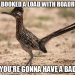 Road Runner | IF YOU BOOKED A LOAD WITH ROADRUNNER THEN YOU'RE GONNA HAVE A BAD TIME | image tagged in road runner | made w/ Imgflip meme maker