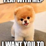 dead animal  | DO YOU WANT TO PLAY WITH ME? I WANT YOU TO PLAY WITH ME. | image tagged in dead animal | made w/ Imgflip meme maker