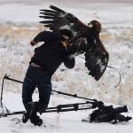 Condor vs. Cameraman