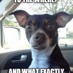 Mojo | WE'RE GOING TO THE WHERE? AND WHAT EXACTLY IS THIS NEUTER THING? | image tagged in mojo | made w/ Imgflip meme maker