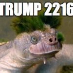 Donald Trump turtle | TRUMP 2216 | image tagged in donald trump turtle | made w/ Imgflip meme maker
