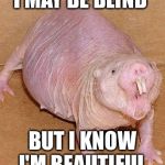 Mirror | I MAY BE BLIND BUT I KNOW I'M BEAUTIFUL | image tagged in mirror | made w/ Imgflip meme maker