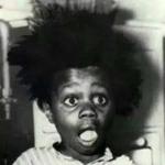 Buckwheat 