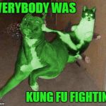 Those cats were fast as lightning... | EVERYBODY WAS KUNG FU FIGHTING | image tagged in raycat kicking raydog,memes,kung fu | made w/ Imgflip meme maker