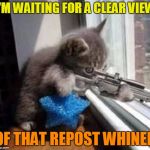 Say that this is a repost again, I dare you... | I'M WAITING FOR A CLEAR VIEW OF THAT REPOST WHINER | image tagged in sniper cat 500px wide,memes,sniper cat | made w/ Imgflip meme maker