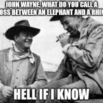 John Wayne Quit Meme | JOHN WAYNE, WHAT DO YOU CALL A CROSS BETWEEN AN ELEPHANT AND A RHINO? HELL IF I KNOW | image tagged in john wayne quit meme | made w/ Imgflip meme maker