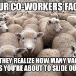 sheeple | YOUR CO-WORKERS FACES WHEN THEY REALIZE HOW MANY VACATION DAYS YOU'RE ABOUT TO SLIDE OUT ON | image tagged in sheeple | made w/ Imgflip meme maker