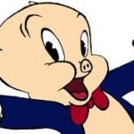 porkypig meme