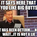 Maury Lie Detector | IT SAYS HERE THAT YOU LIKE BIG BUTTS IT HAS BEEN DETERM......NO WAIT...IT IS NOT A LIE | image tagged in maury lie detector | made w/ Imgflip meme maker
