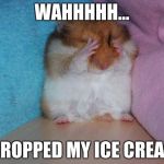 crying hamster | WAHHHHH... I DROPPED MY ICE CREAM! | image tagged in crying hamster | made w/ Imgflip meme maker