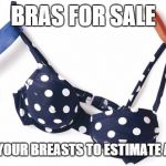 Bras for Sale | BRAS FOR SALE SEND ME PICS OF YOUR BREASTS TO ESTIMATE APPROPRIATE SIZE | image tagged in humor,boobs | made w/ Imgflip meme maker