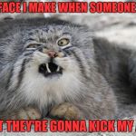 weird cat with weird face | THAT FACE I MAKE WHEN SOMEONE SAYS THAT THEY'RE GONNA KICK MY ASS | image tagged in weird cat with weird face | made w/ Imgflip meme maker