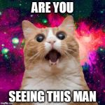 Kitties be trippin | ARE YOU SEEING THIS MAN | image tagged in kitties be trippin | made w/ Imgflip meme maker