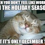 sleepy cat | WHEN YOU DON'T FEEL LIKE WORKING BUT IT'S ONLY DECEMBER 1ST IN THE HOLIDAY SEASON | image tagged in sleepy cat | made w/ Imgflip meme maker