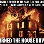 Burning House | I SAW A SPIDER IN MY BATHTUB, SO I GOT A PIECE OF TISSUE AND VERY, VERY CAREFULLY, BURNED THE HOUSE DOWN | image tagged in burning house,memes,funny | made w/ Imgflip meme maker
