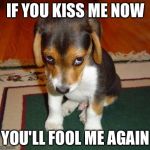 ashamed puppy | IF YOU KISS ME NOW YOU'LL FOOL ME AGAIN | image tagged in ashamed puppy | made w/ Imgflip meme maker