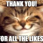Thank you | THANK YOU! FOR ALL THE LIKES! | image tagged in thank you | made w/ Imgflip meme maker