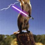 Squirrel With The Force meme