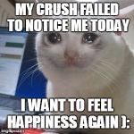 Crying Cat | MY CRUSH FAILED TO NOTICE ME TODAY I WANT TO FEEL HAPPINESS AGAIN ): | image tagged in crying cat | made w/ Imgflip meme maker